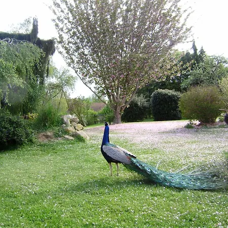 Bed & Breakfast La Ferme Du Bourg Eraines