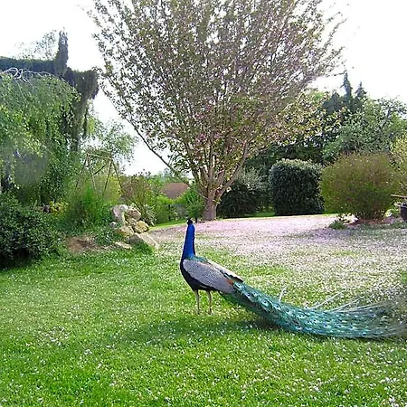 Bed and breakfast La Ferme Du Bourg