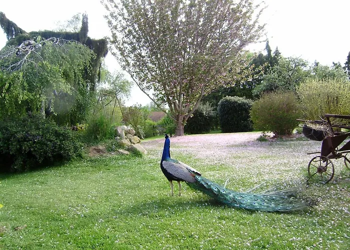 Bed & Breakfast La Ferme Du Bourg Eraines